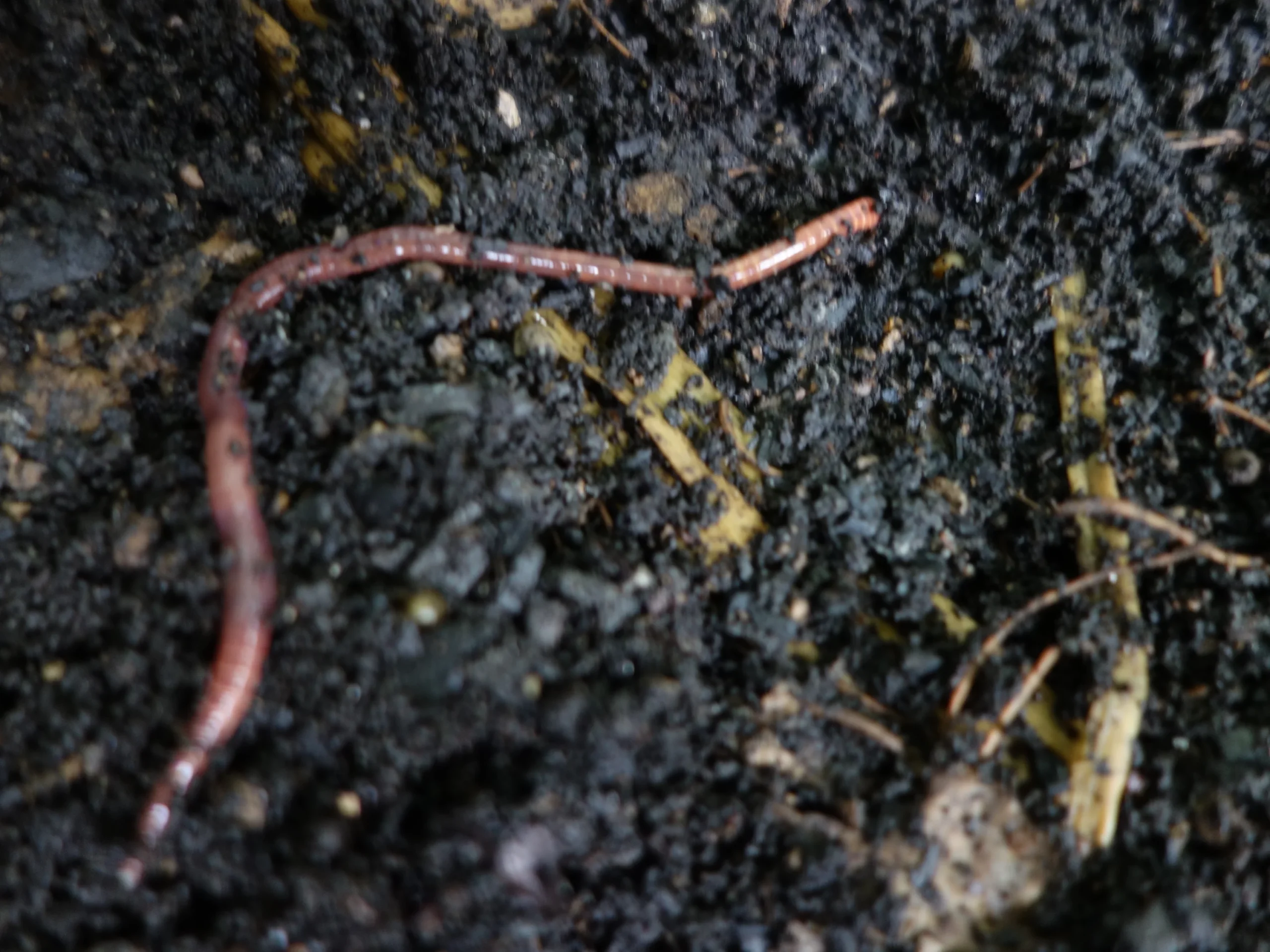 Klimafarmer Substrat