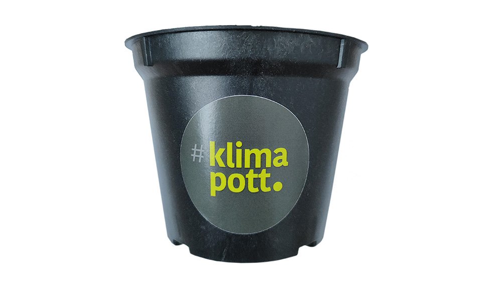 Klimapott plastikfreier Blumentopf
