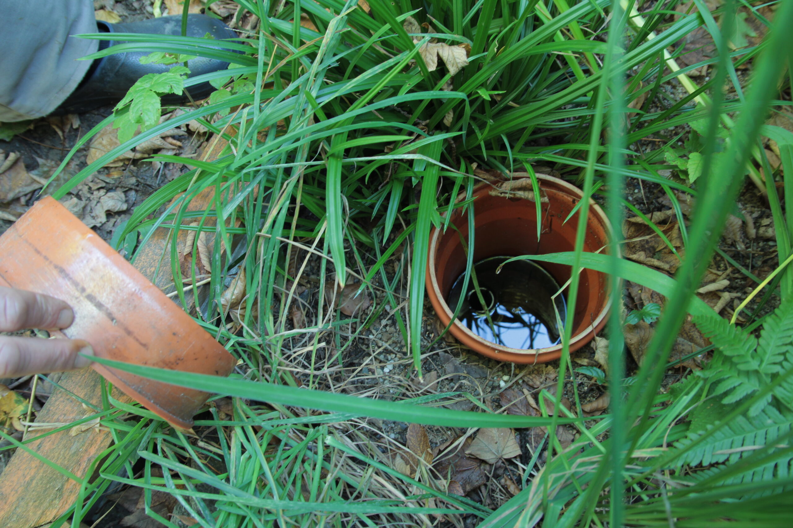 Maßgeschneiderte Aqua Nostra Pflanzenkläranlage für Tiny House